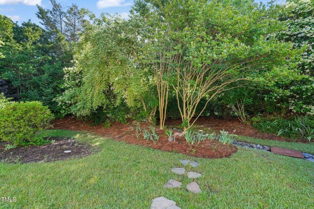 view of grassy yard