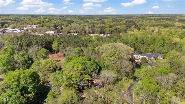 410 Halifax St, Warrenton, NC 27589 - bird's eye view with a view of trees