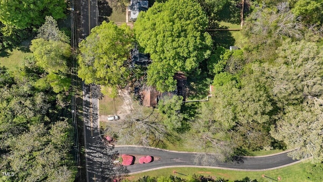 410 Halifax St, Warrenton, NC 27589 - drone / aerial view