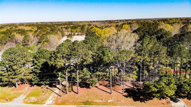 birds eye view of property with a forest view