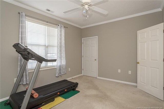 3159 Wisteria Ln Unit 101, Fayetteville, NC 28314 - exercise room featuring carpet flooring, visible vents, ornamental molding, and a ceiling fan