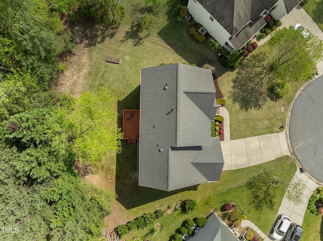 bird's eye view