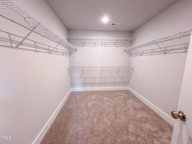 217 Duncan Creek Rd # 124, Lillington, NC 27546 - walk in closet with carpet flooring