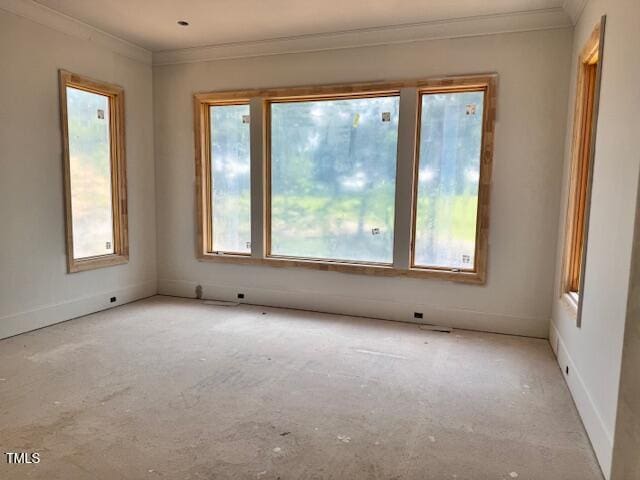 1216 Barcroft Pl, Raleigh, NC 27615 - spare room with healthy amount of natural light, crown molding, and carpet flooring