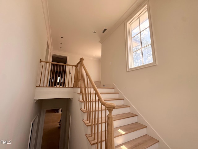 1216 Barcroft Pl, Raleigh, NC 27615 - photo 86