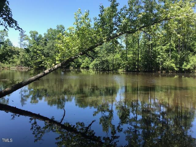 LOT2 Truelove Rd, Holly Springs, NC 27540