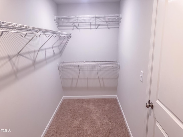 452 Duncan Creek Rd # 156, Lillington, NC 27546 - photo 35