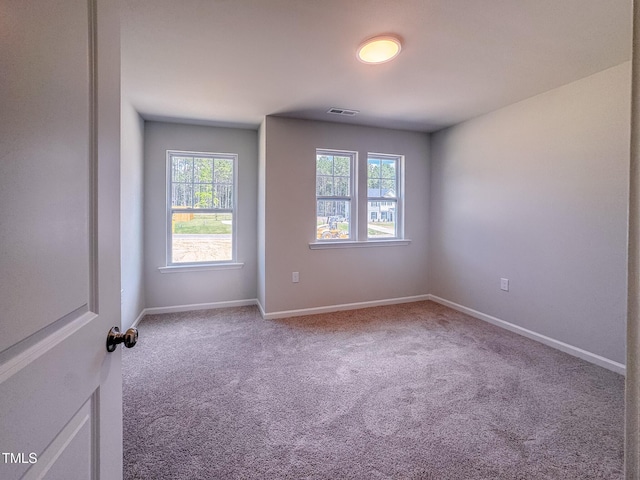 452 Duncan Creek Rd # 156, Lillington, NC 27546 - photo 46