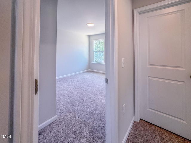 452 Duncan Creek Rd # 156, Lillington, NC 27546 - photo 38
