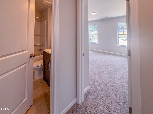 452 Duncan Creek Rd # 156, Lillington, NC 27546 - photo 50