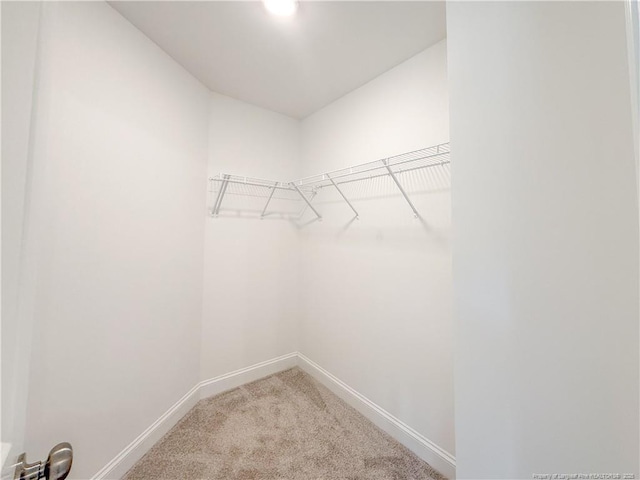 1312 Cory Cir, Fayetteville, NC 28312 - spacious closet featuring light colored carpet