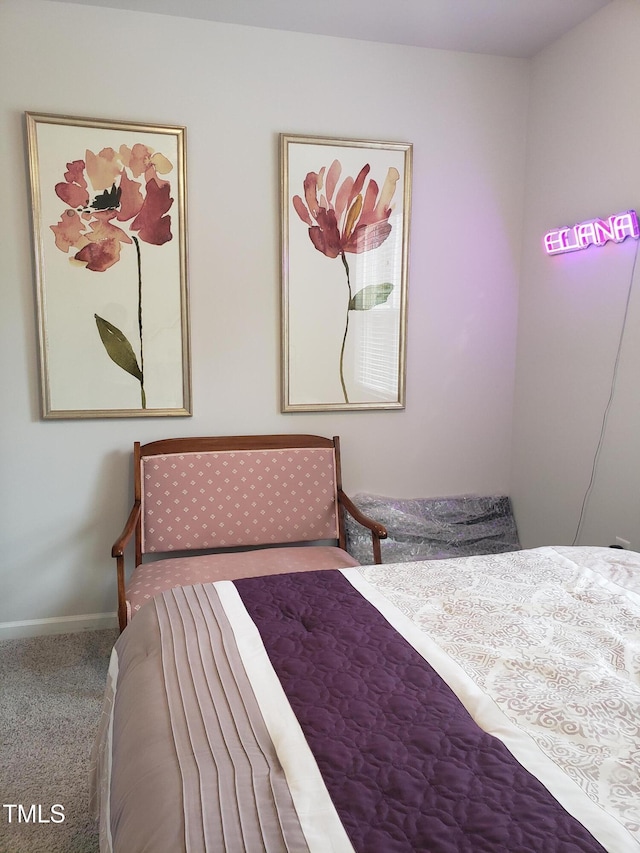 17 Verona Dr, Clayton, NC 27527 - bedroom with baseboards and carpet flooring