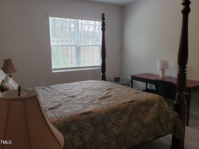 17 Verona Dr, Clayton, NC 27527 - carpeted bedroom with multiple windows
