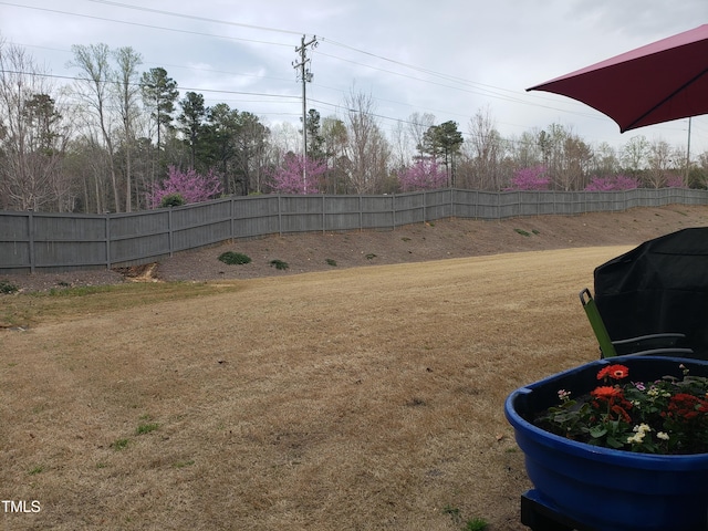 17 Verona Dr, Clayton, NC 27527 - view of yard with a fenced backyard