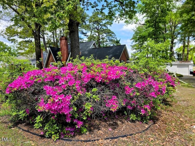 1522 W Thomas St, Rocky Mount, NC 27804 - photo 4