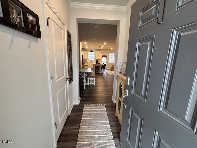 interior space with dark wood-style floors and crown molding