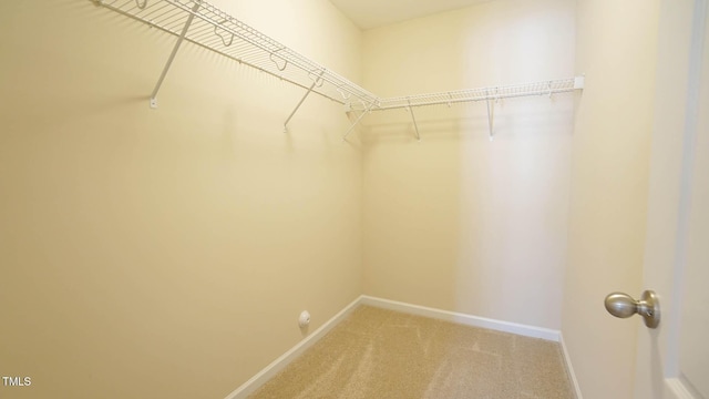 504 Prince Dr, Holly Springs, NC 27540 - photo 57