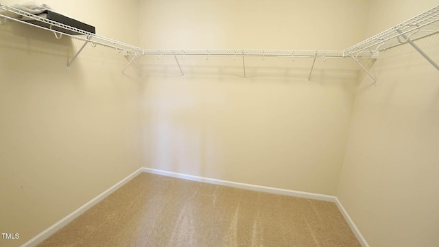 504 Prince Dr, Holly Springs, NC 27540 - photo 66