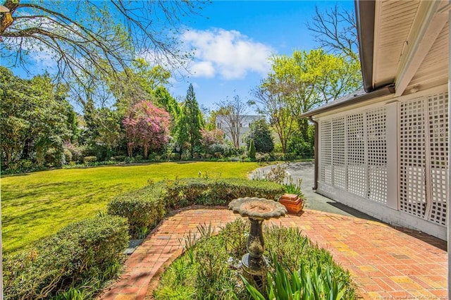 view of yard with a patio area