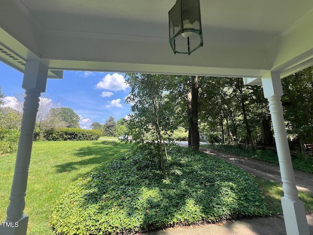 1401 Roy Averette Dr, Raleigh, NC 27603 - view of green lawn