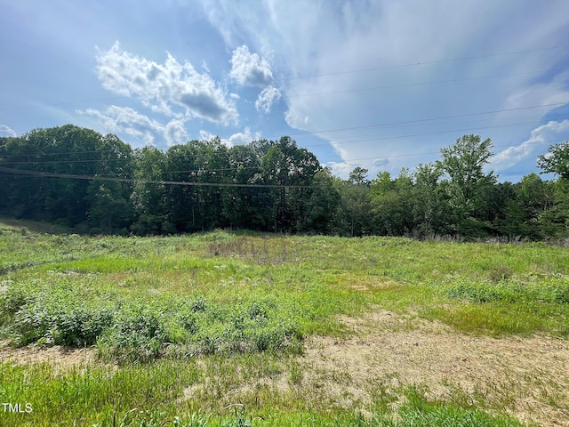 112 Remington Woods Dr, Wake Forest, NC 27587 - view of woods