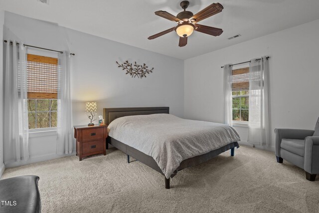 887 Thrush Dr, Vass, NC 28394 - photo 22