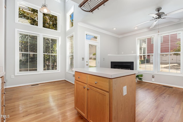 440 Heritage Village Ln, Apex, NC 27502 - kitchen with healthy amount of natural light, light wood-type flooring, a ceiling fan, ornamental molding, and light countertops