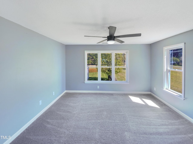 357 Riverwood Dr, Clayton, NC 27527 - carpeted spare room featuring baseboards, ceiling fan, and a healthy amount of sunlight