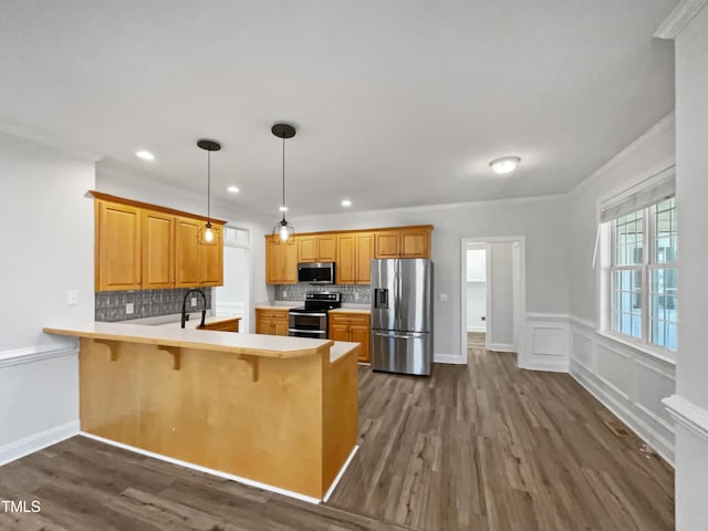 kitchen featuring dark wood-type flooring, tasteful backsplash, a peninsula, and appliances with stainless steel finishes