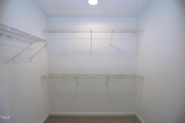 3313 Sparrowhawk Dr, High Point, NC 27265 - spacious closet featuring carpet flooring