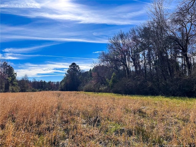 TBD Snake Rd, Lumberton, NC 28358