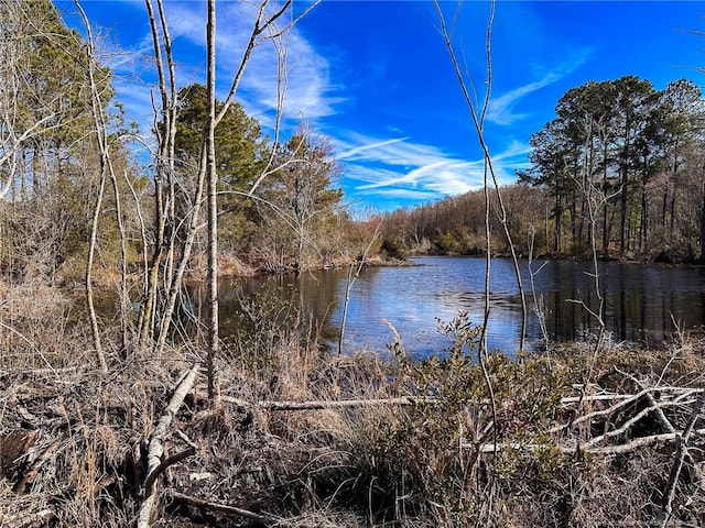 TBD Snake Rd, Lumberton, NC 28358