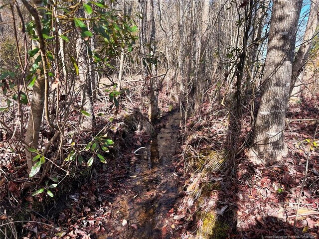 TBD Snake Rd, Lumberton, NC 28358