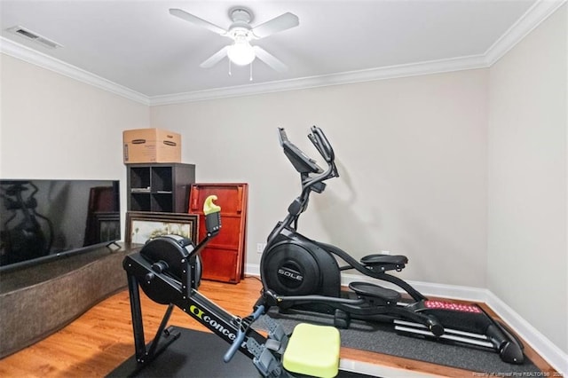workout area featuring a ceiling fan, baseboards, visible vents, light wood-style floors, and ornamental molding