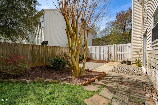 view of yard featuring a fenced backyard and a patio area