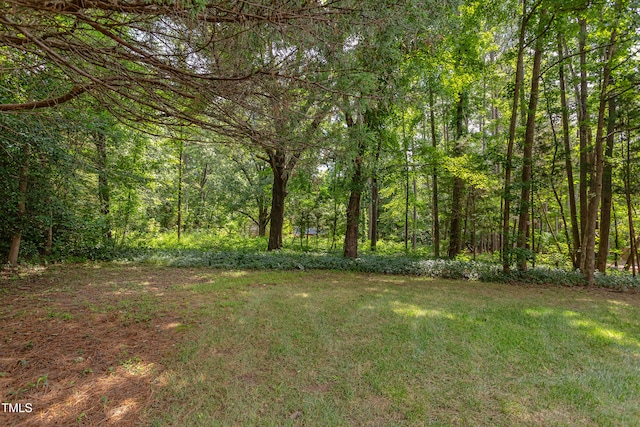 77004 Miller, Chapel Hill, NC 27517 - photo 45