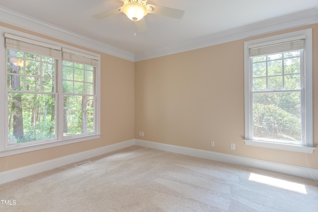 77004 Miller, Chapel Hill, NC 27517 - photo 20