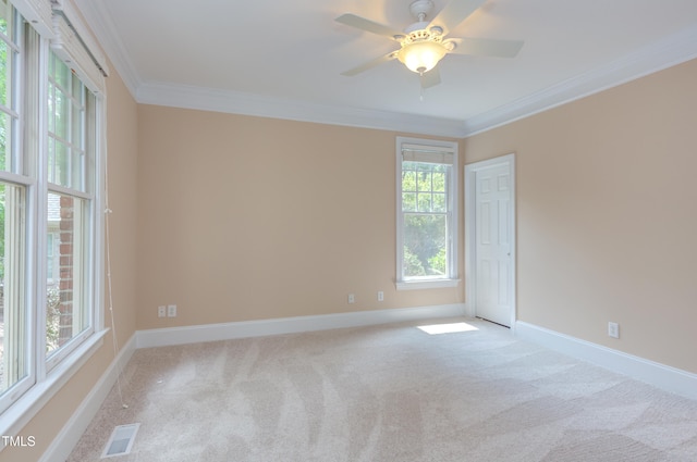 77004 Miller, Chapel Hill, NC 27517 - photo 19