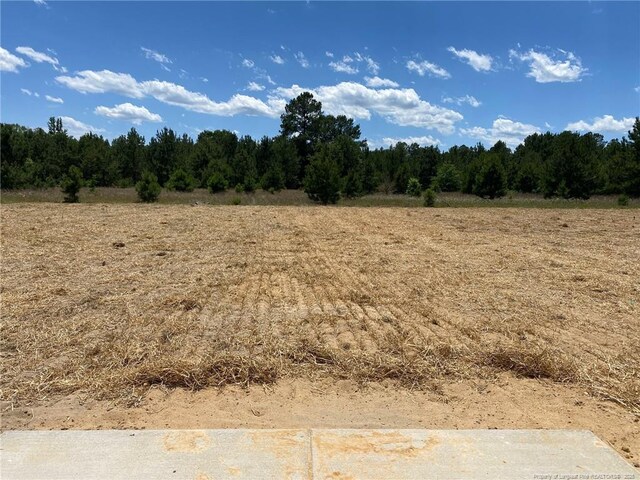 4894 Blue Springs Rd, Red Springs, NC 28377 - view of woods