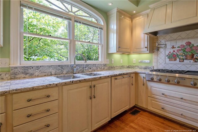 1800 Pugh St, Fayetteville, NC 28305 - kitchen featuring stainless steel gas stovetop, light wood-style flooring, light stone countertops, premium range hood, and a sink