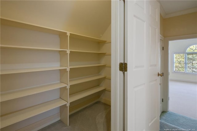 1800 Pugh St, Fayetteville, NC 28305 - view of pantry