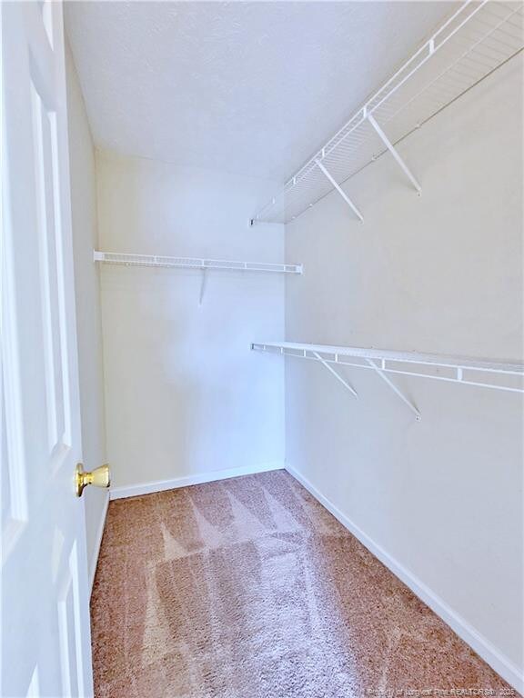 spacious closet featuring carpet