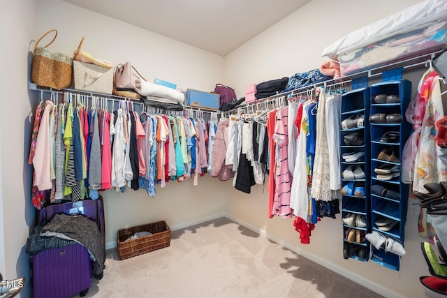 spacious closet with carpet floors