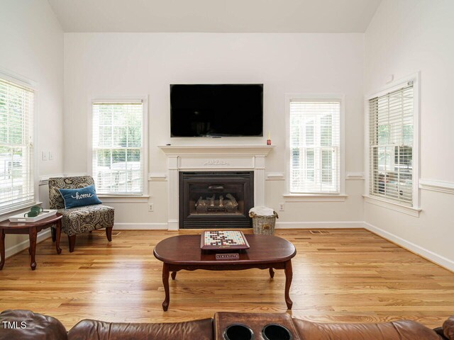 2213 Ravens Creek Ct, Raleigh, NC 27603 - living room featuring wood finished floors, baseboards, and a glass covered fireplace