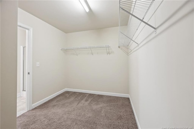4644 Woodline Dr, Fayetteville, NC 28314 - walk in closet with carpet