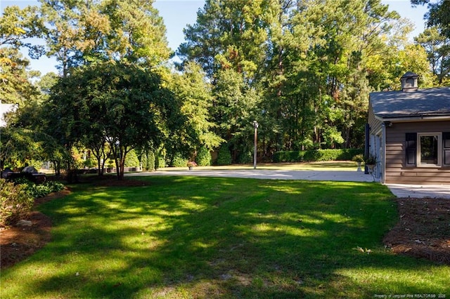 view of yard