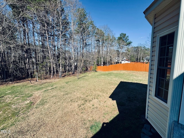 20 Willows Den Ct, Youngsville, NC 27596 - photo 33