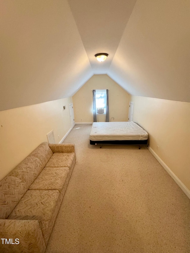 20 Willows Den Ct, Youngsville, NC 27596 - photo 28