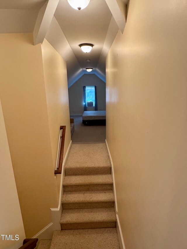 20 Willows Den Ct, Youngsville, NC 27596 - photo 27
