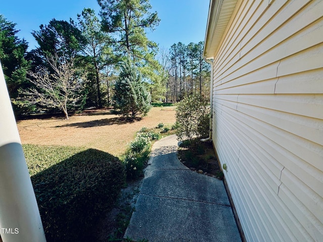 20 Willows Den Ct, Youngsville, NC 27596 - photo 37